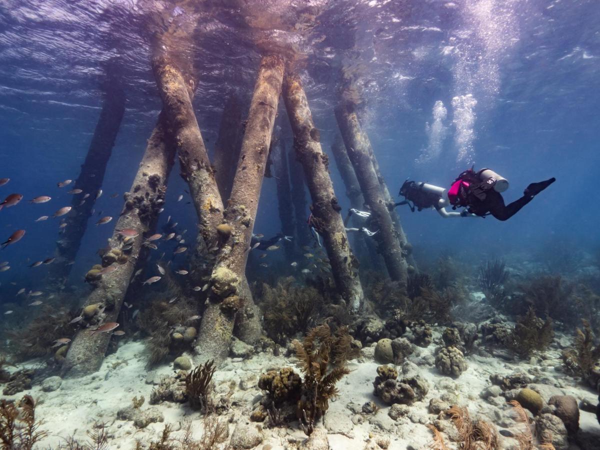 ホテル Grand Windsock Bonaire クラレンダイク エクステリア 写真